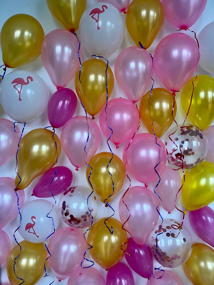 home-img A vibrant display of colorful helium balloons perfect for any party or celebration.